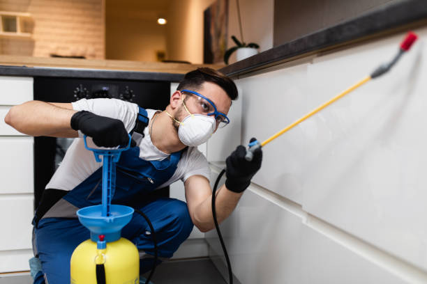 Flea Control Services in Whiskey Creek, FL