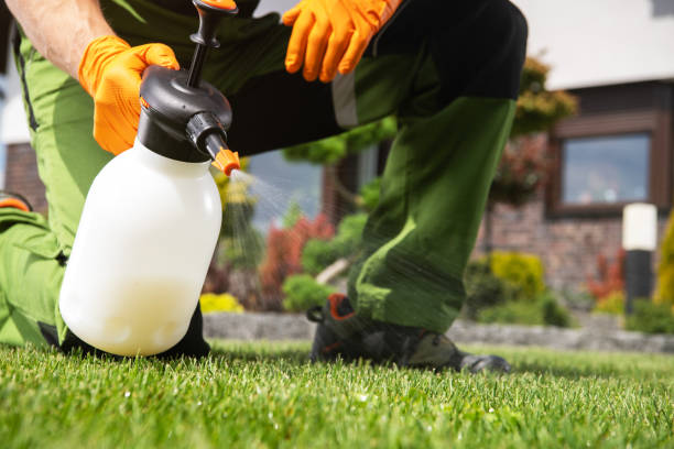Trusted Whiskey Creek, FL Pest Control Experts