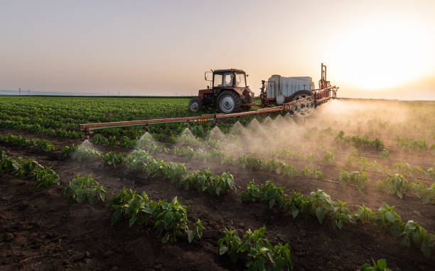 Pest Prevention Services in Whiskey Creek, FL