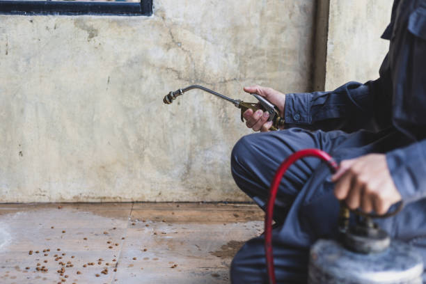 Best Pest Inspection Near Me  in Whiskey Creek, FL